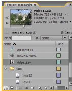Рис. 5. В библиотеке — панель Project