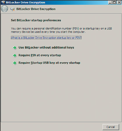 Экран 6. Выбор варианта использования BitLocker