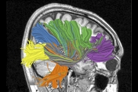 Исследователи надеются, что однажды им удастся создать компьютеры, способные действовать в реальном мире, чувствовать и реагировать интеллектуальным образом 