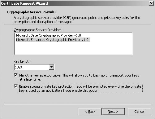 Рис. 5. Активизация дополнительной защиты частного ключа в мастере Certificate Request Wizard.