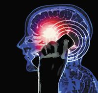 Длительное пользование мобильным телефоном может являться фактором риска для функционирования сосудистой сетки головного мозга, провоцировать нарушения памяти и внимания