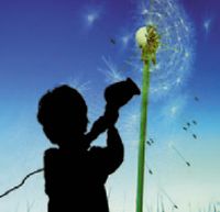 Работы в секции Interactivity рассчитаны на участие посетителей выставки. Датский коллектив Yoke из четырех художников  представляет произведение под названием Dandelion — «Одуванчик». На огромном экране колышется на ветру трехмерная модель одуванчика. Взяв прилагаемый фен, зритель может сдувать им с одуванчика пушинки