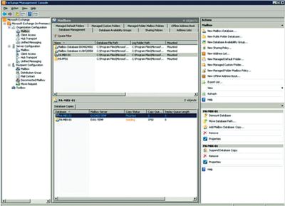 Экран 3. Представление Database Management