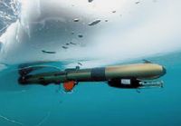 Фото: Dannie Reid