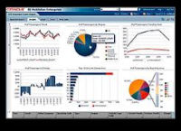 Oracle Business Intelligence Cloud Service