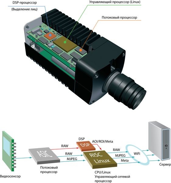 Проекты года. Внедрение системы дистанционного биометрического распознавания лиц VOCORD FaceControl. Многофункциональный спортивный комплекс «Арена Ом