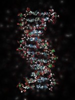 Процесс записи данных на препарат ДНКтребует продолжительного времени, поэтому, по мнению ученых, такой носитель сейчас пригоден только для создания архивов данных