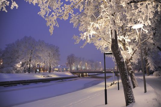 Сало привлекает россиян