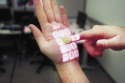 Фото: Chris Harrison 