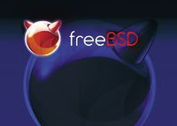 СПУСТЯ ПОЧТИ ГОД с момента выпуска FreeBSD 8.2 участники проекта представили версию 9.0, где появилось множество новых функций и расширений 