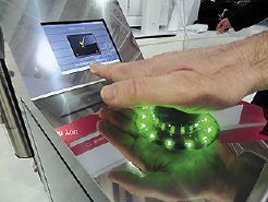 Fujitsu Technologies Solutions PalmSecure