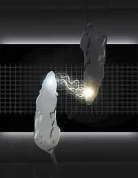 Ученые синхронизировали действия двух крыс