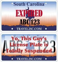 Номерной знак с перезагрузкой