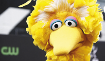 Big Bird
