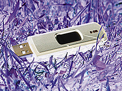 Безопасность во время праздников и отпусков