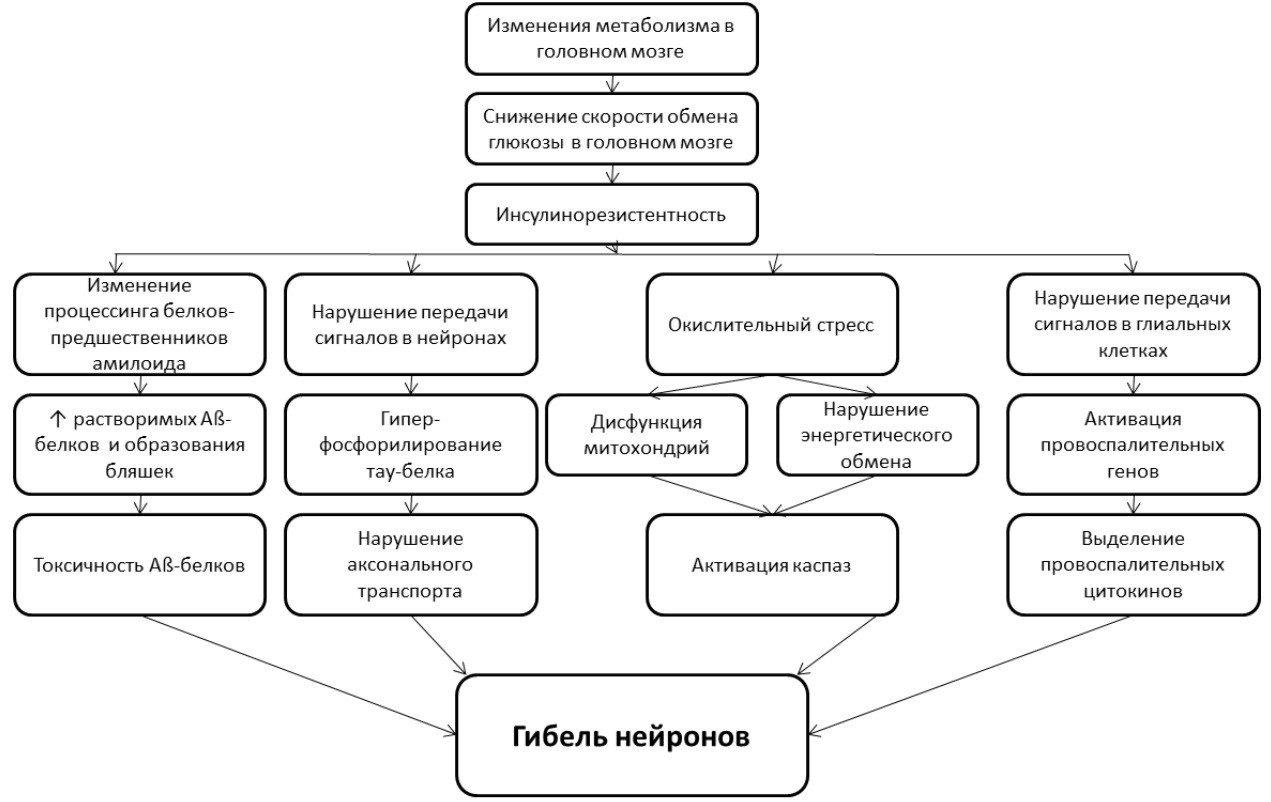 оргструктура в информационных системах. сд-сд структура. схема управления третьего рейха. сахарный диабет 1 типа диета. Sd структура.