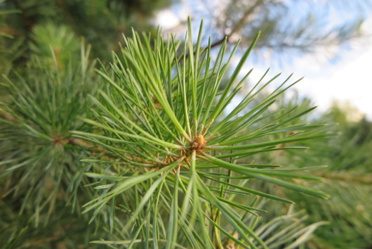 Фотолюбителю на заметку