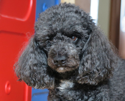 Полный кадр: Обсуждаем фотокамеры