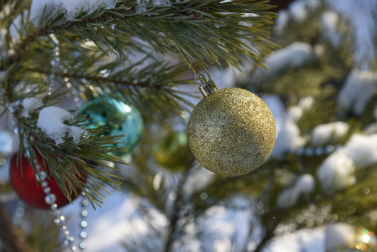 Крепкий середнячок: Фотокамера Nikon D750