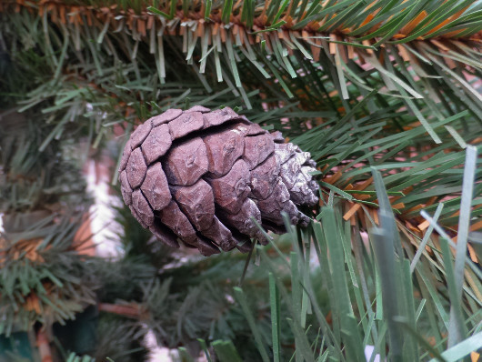 Обзор смартфона ASUS ZenFone Zoom: Снимайте немедленно