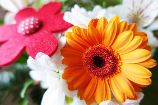 Цифровые фотокамеры: По пути эволюции