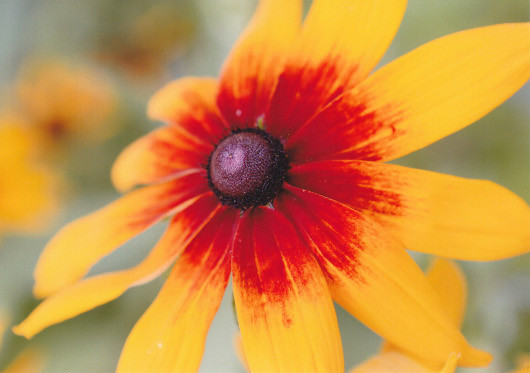 Основа основ: Выбираем фотобумагу