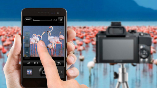 Беспроводные технологии в цифровых камерах: Фото в Сеть