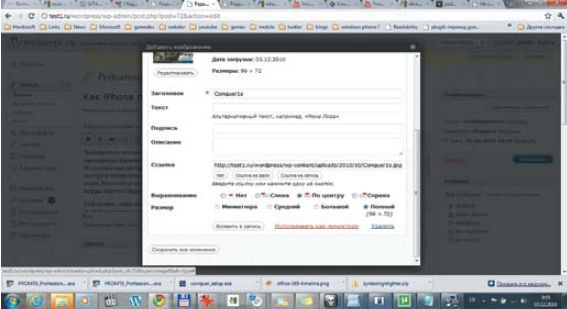 Добавляемое изображение можно использовать как миниатюру или вставлять непосредственно в тело записи