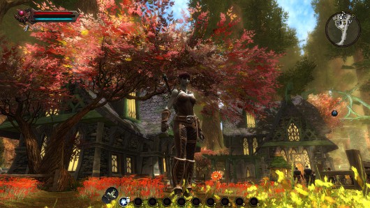 Kingdoms of Amalur: Reckoning -- «Яблочко от яблони недалеко падает…»