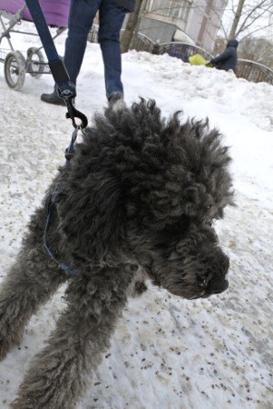 Переходное звено