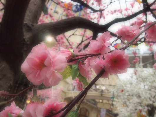 Переходное звено