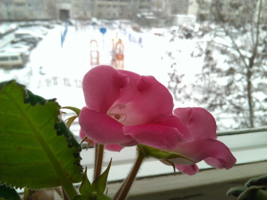 Мобильная замена недорогой фотокамере