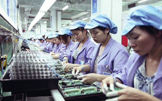 Витая пара TP-LINK