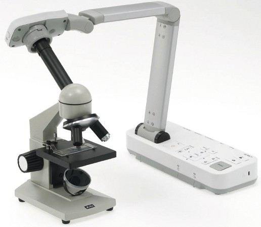 Без дневника, доски и мела – школа будущего уже сегодня