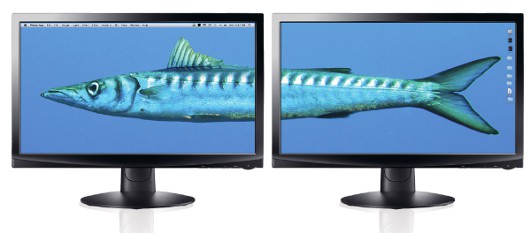 Советы по ОС и ПО