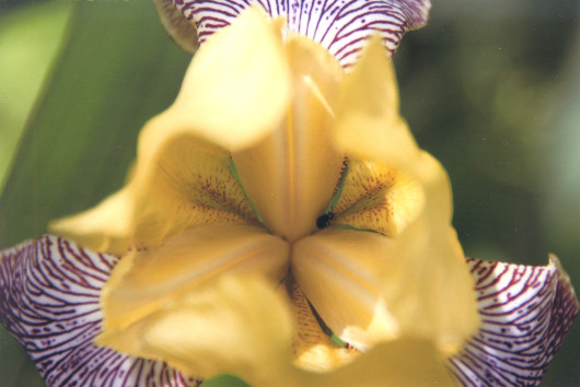 Такая разная… фотобумага