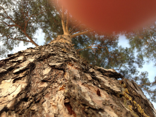 Мобильная картинка