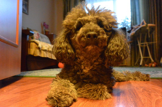 Беззеркальное царство