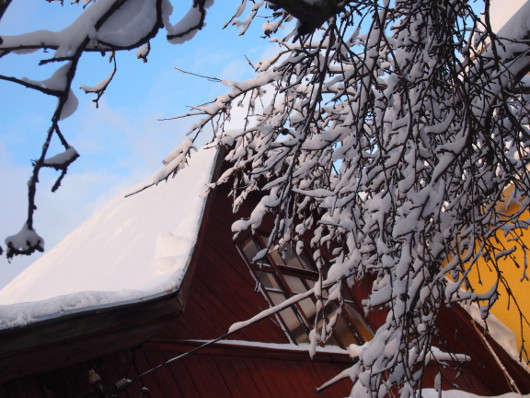 Беззеркальное царство