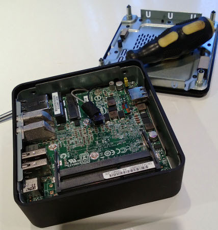 Маленький Нук