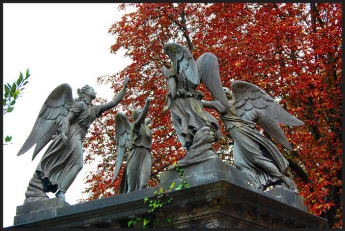 Жизнь после смерти