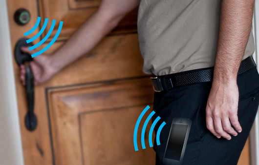 Филия и фобия