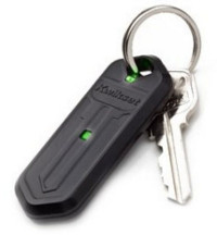 Филия и фобия