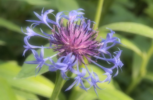 Творческий подход Olympus