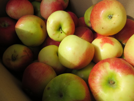 Фото для начинающих