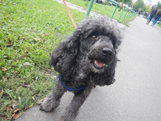 Фото для начинающих