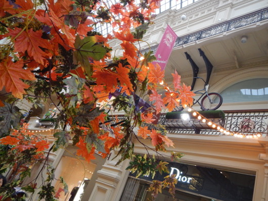 Фото для начинающих