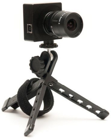 События месяца