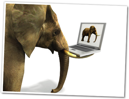 Как правильно продавать слонов