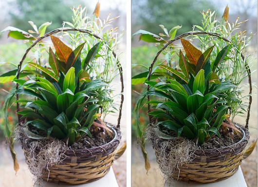 Photo Ninja: обработчик файлов в формате Raw